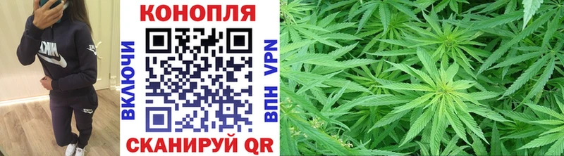 Наркошоп купить АМФЕТАМИН  Псилоцибиновые грибы  МАРИХУАНА  Меф  Алагир