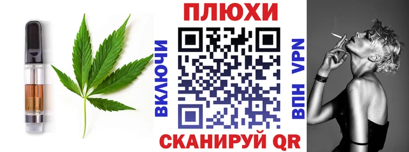 Cannafood конопля  Купить закладки  Алагир 