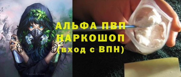 Альфа ПВП Магадан