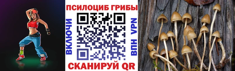 Псилоцибиновые грибы Cubensis Купить где Алагир